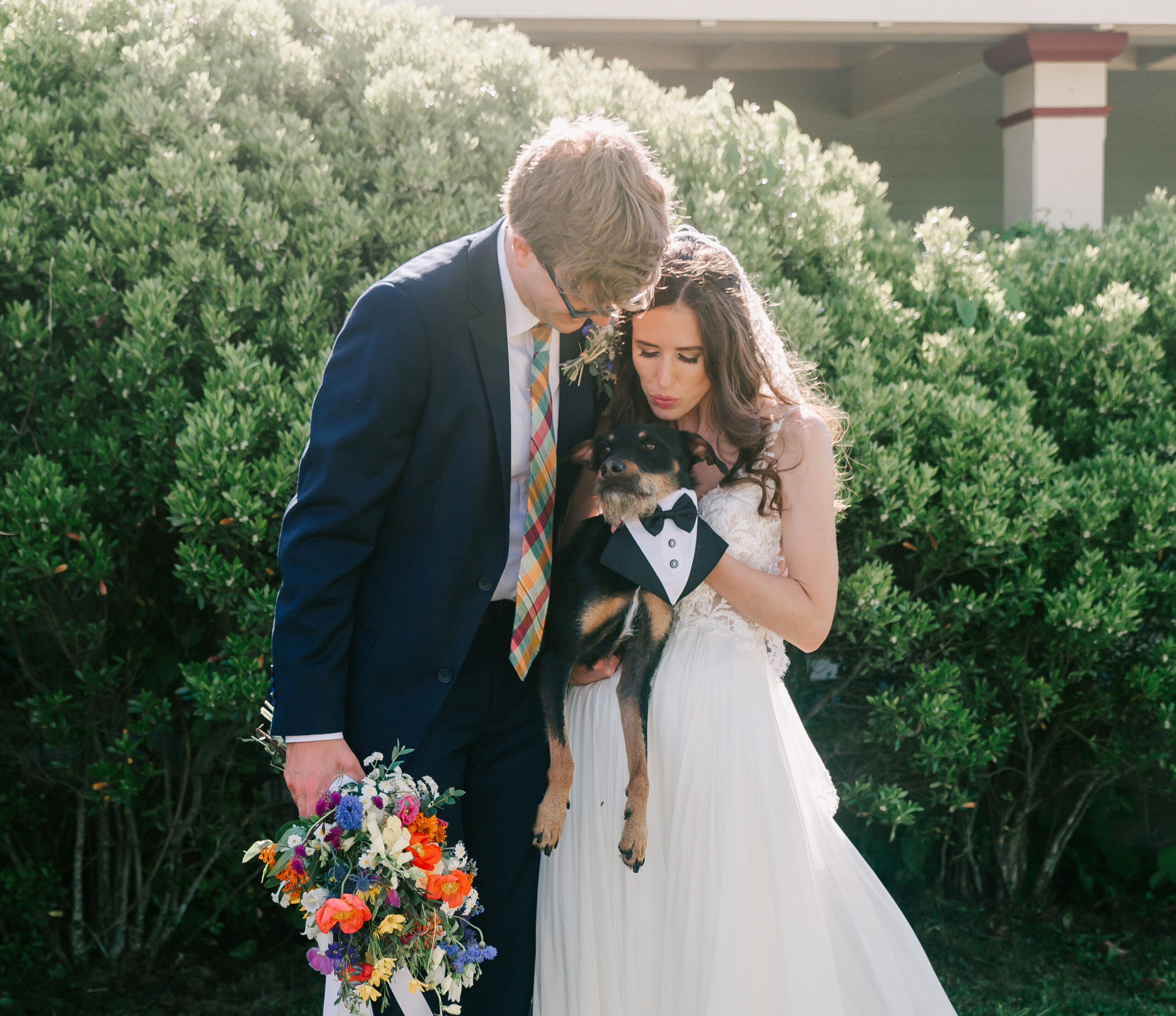 newlywed couple with their dog on their wedding day, planned by Cose Bella Events, an excellent Rhode Island wedding planner